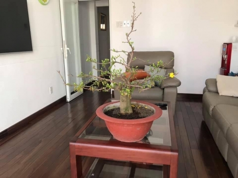BÁN GẤP nhà đẹp Phú Nhuận hẻm container. Diện tích 50m2 , giá chỉ 9.7 tỷ. LH: 0909668928