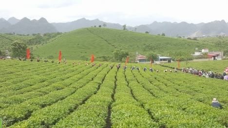 ĐẦU TƯ ĐẤT MỘC CHÂU KHÔNG THỂ BỎ LỠ, BÁN GẤP LÔ ĐẤT VEN QL43 GIÁ SIÊU RẺ