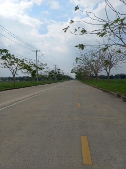 Bán lô đất 5000m2 trong khu công nghiệp Mỹ Phước 3, Bến Cát, Bình Dương. Bán lô đất giá rẻ nhất khu