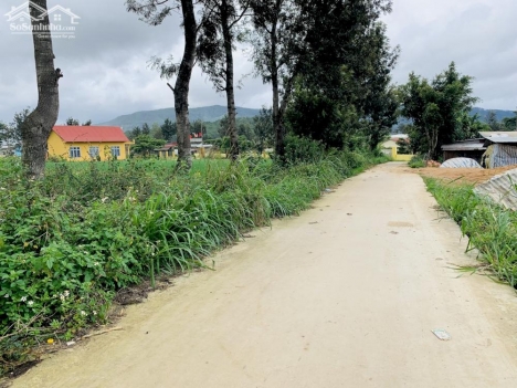 Cần bán 10m ngang mặt tiền đường bê tông Lạc Xuân - Đơn Dương - Lâm Đồng