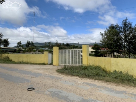 Cần bán 10m ngang mặt tiền đường bê tông Lạc Xuân - Đơn Dương - Lâm Đồng