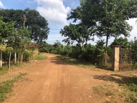 Bán đất chính chủ giá rẻ pháp lý rõ ràng