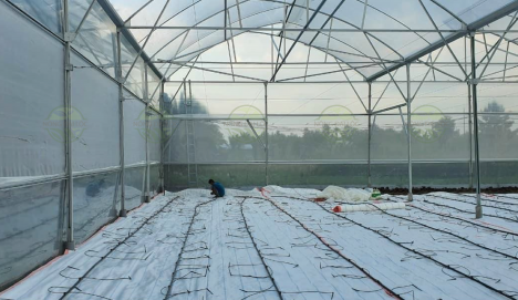 Bạt trải nền loại tốt, bạt lót nền chống cỏ, bạt trải nền cao cấp, bạt lót nền nông nghiệp
