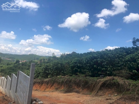 Bán 6913m2 View toàn cảnh xã Phi Tô Lâm hà - Lâm đồng