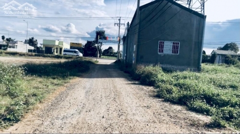 Bán gấp 5x34m có 75m2 thổ cư cách chợ Tân Hội - Đức Trọng chỉ 5 phút giá 1.3 tỷ