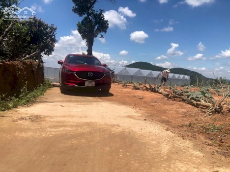 Bán 6913m2 View toàn cảnh xã Phi Tô Lâm hà - Lâm đồng