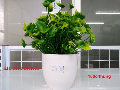 hoa trang trí giá sỉ