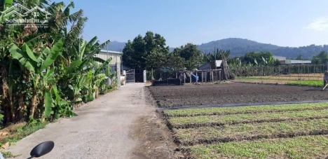 CHÍNH CHỦ CẦN TIỀN BÁN GẤP LÔ ĐẤT GIÁ RẺ NGAY TX PHÚ MỸ - BÀ RỊA VŨNG TÀU