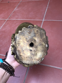 Năm mới em giao lưu dăm ba em Dần đón lộc
