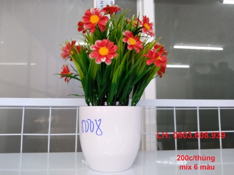 hoa trang trí giá sỉ