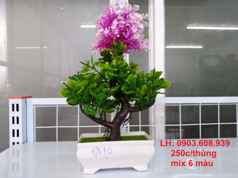hoa trang trí ngày lễ giá tốt