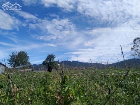 Chủ kẹt tiền bán gấp 350m2 đất sẵn thổ cư tại Đơn Dương chỉ 580tr