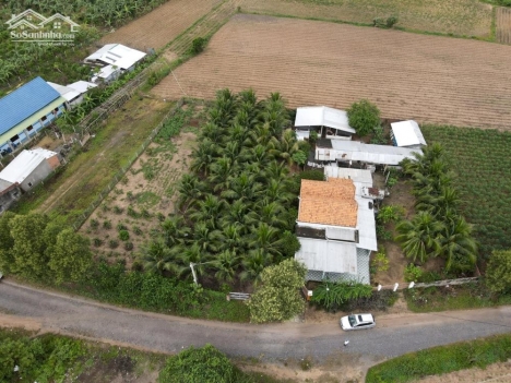 Cần sang nhượng lại Trang trại ngay khu dân cư tuyệt đẹp. Đc: Đống Đa, Ninh Sim, Tx.Ninh