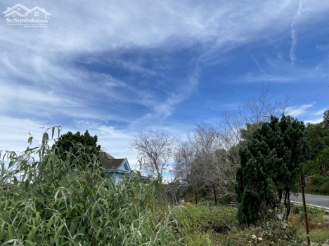 CẦN BÁN ĐẤT VIEW ĐẸP MẶT TIỀN ĐƯỜNG ĐỐNG ĐA PHƯỜNG 3 THÀNH PHỐ ĐÀ LẠT