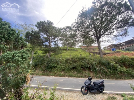 CẦN BÁN ĐẤT VIEW ĐẸP MẶT TIỀN ĐƯỜNG ĐỐNG ĐA PHƯỜNG 3 THÀNH PHỐ ĐÀ LẠT