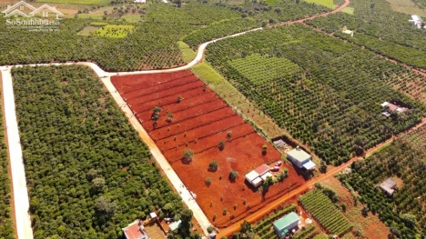 Đất nghỉ dưỡng Đà Lạt vùng ven hơn 500m2, sổ hồng sẵn giá 950 triệu