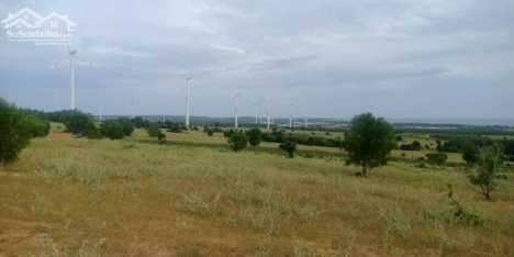 Lô đất view biển 5780m2 đường sỏi 5m vào tới đất, cách đường nhựa 180m, nhận trả góp
