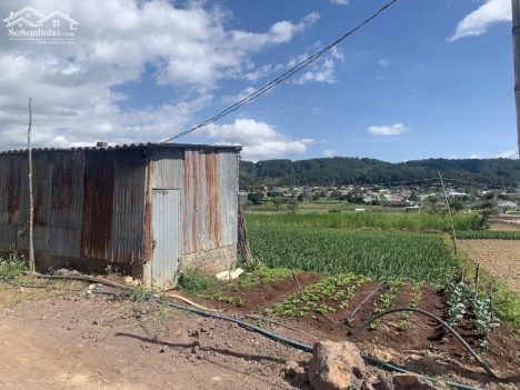 Cần bán lô đất xào tại Hiệp Thạnh – Đức Trọng – Lâm Đồng