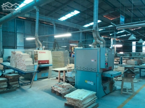 Cần bán nhà xưởng san xuất gỗ