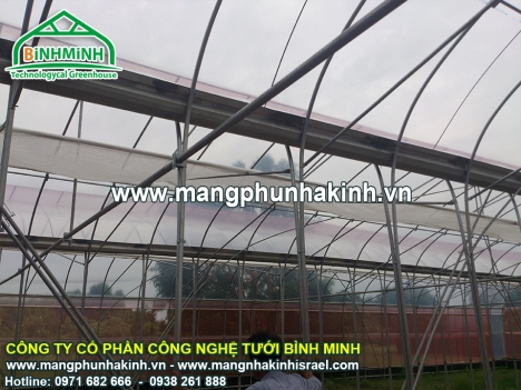 Các mô hình nhà lưới trồng rau hiện nay, cách làm nhà lưới đơn giản, báo giá lưới trồng rau sạch