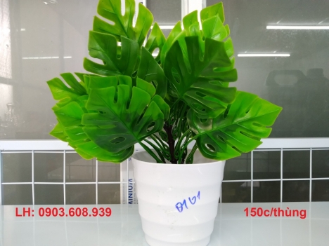 hoa nhựa nhà Vương Ngọc siêu đẹp
