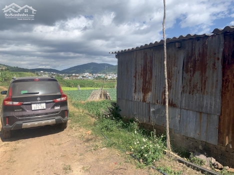 Cần bán lô đất xào tại Hiệp Thạnh – Đức Trọng – Lâm Đồng