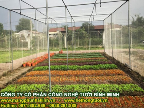 Các mô hình nhà lưới trồng rau hiện nay, cách làm nhà lưới đơn giản, báo giá lưới trồng rau sạch