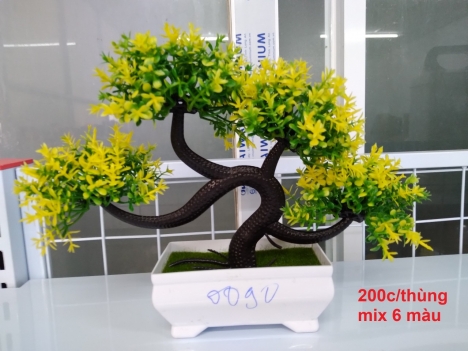 hoa nhựa cty Vương Ngọc siêu đẹp