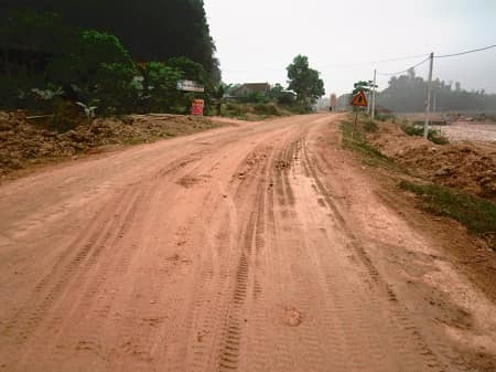 Bán đát xào giá rẻ bình phước