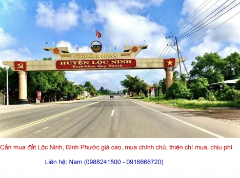 Cần Mua gấp đất Lộc Thái, Lộc Ninh giá cao, mua chính chủ, thiện chí mua, chịu phí sang tên