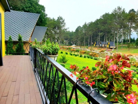 Bán gấp lô đất 1.1ha Phiêng Luông Mộc Châu,đầu tư đón sóng cao tốc Hòa Bình Mộc Châu