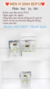 BCP 12 - Men vi sinh cho bể kỵ khí - Phân hủy chất béo