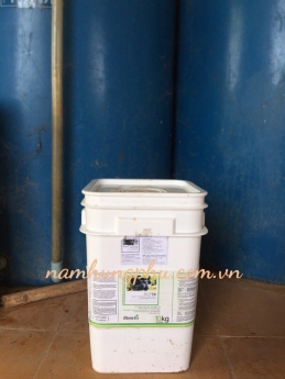 BCP 56 - MEN VI SINH CHO NƯỚC THẢI BIA - GIẢI KHÁT