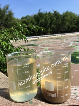 Bcp11 Men Vi Sinh Xử Lý Nước Thải Dệt Nhuộm, Cao Su