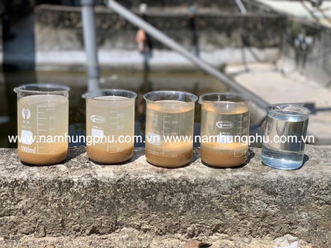 Bcp11 Men Vi Sinh Xử Lý Nước Thải Dệt Nhuộm, Cao Su