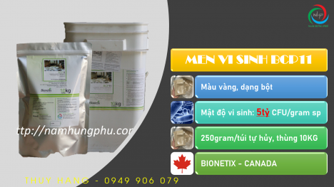 BCP11 Men vi sinh xử lý nước thải dệt nhuộm