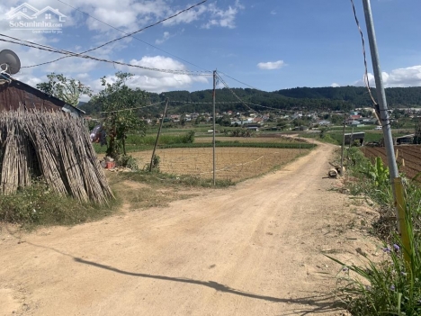 Bán 1000m2 gần quốc lộ 27 mới tại Đức Trọng, Lâm Đồng, thông cao tốc