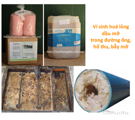 BioStreme301 – Vi sinh xử lý, hoá lỏng dầu, mỡ trong đường ống