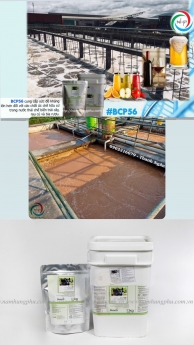 BCP 56 - MEN VI SINH CHO NƯỚC THẢI BIA - GIẢI KHÁT