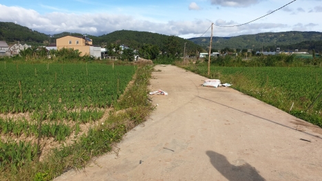 Bán Đất Giá 1,3 Tỷ DT 5x24m Gần Trạm Thu phí Hiệp An -  Đức Trọng - Lâm Đồng