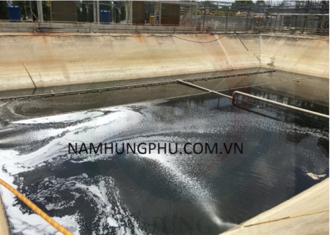 Khử mùi chuồng trại chăn nuôi gia súc BioStreme111F