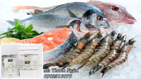 Men Vi Sinh BCP22 Xử Lý Nước Thải Thủy Sản