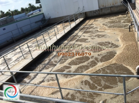 Men Vi Sinh BCP22 Xử Lý Nước Thải Thủy Sản