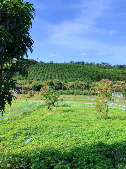 Bán đất nền biệt thự thổ cư tp Bảo Lộc