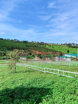 Bán đất nền biệt thự thổ cư tp Bảo Lộc