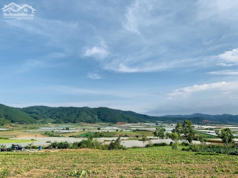 Bán hơn 1 sào nghỉ dưỡng giá 1 tỷ 150 triệu ngay trung tâm Ka Đơn - Đơn Dương - Lâm Đồng