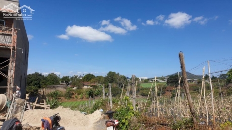 Bán gấp đất Liên Hiệp cotpha 5x21 nở hậu 6m giá 980 triệu