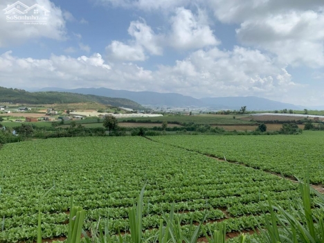 Bán hơn 1 sào nghỉ dưỡng giá 1 tỷ 150 triệu ngay trung tâm Ka Đơn - Đơn Dương - Lâm Đồng