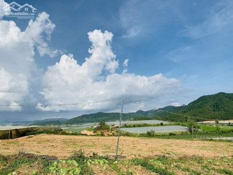 Bán hơn 1 sào nghỉ dưỡng giá 1 tỷ 150 triệu ngay trung tâm Ka Đơn - Đơn Dương - Lâm Đồng