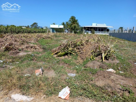 Đất Giá Rẻ -Tiến Hoà-Tiến Lợi-Phan Thiết-DT 1.500m2 cây lâu năm .